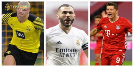 tien dao cam la gi anh dai dien