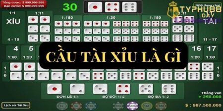 cau tai xiu la gi anh dai dien